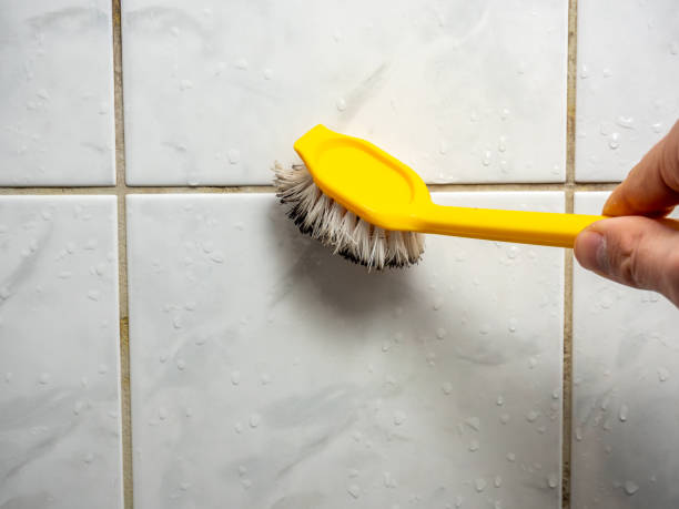 Best Fast Mold Removal  in Jasper, GA