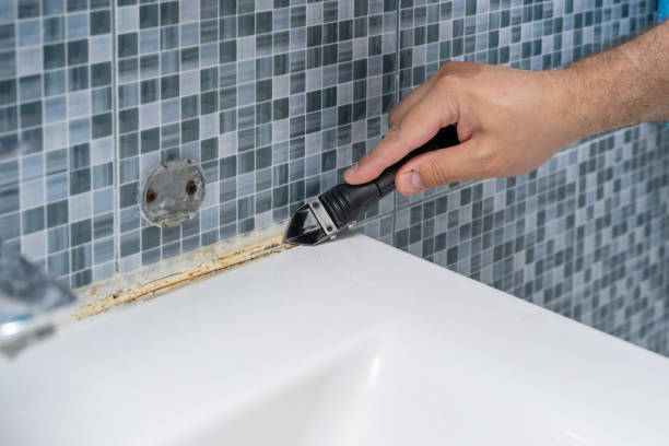 Best Home Mold Removal  in Jasper, GA