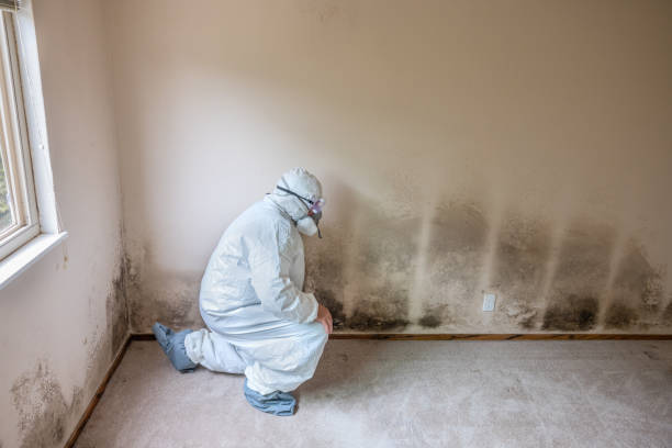 Water Damage Restoration in Jasper, GA