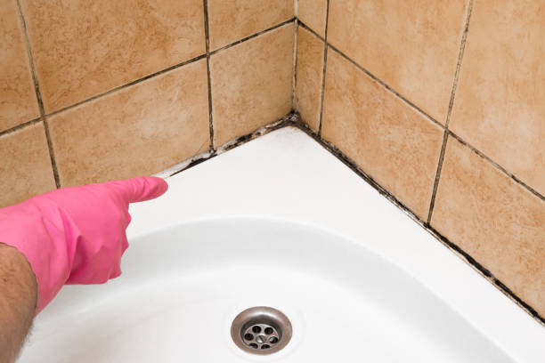 Best Office Mold Removal Services  in Jasper, GA